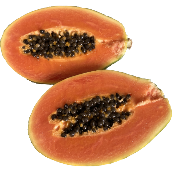 Papaya-Kerne
