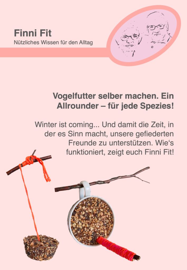 Pinterest | Vogelfutter selber machen